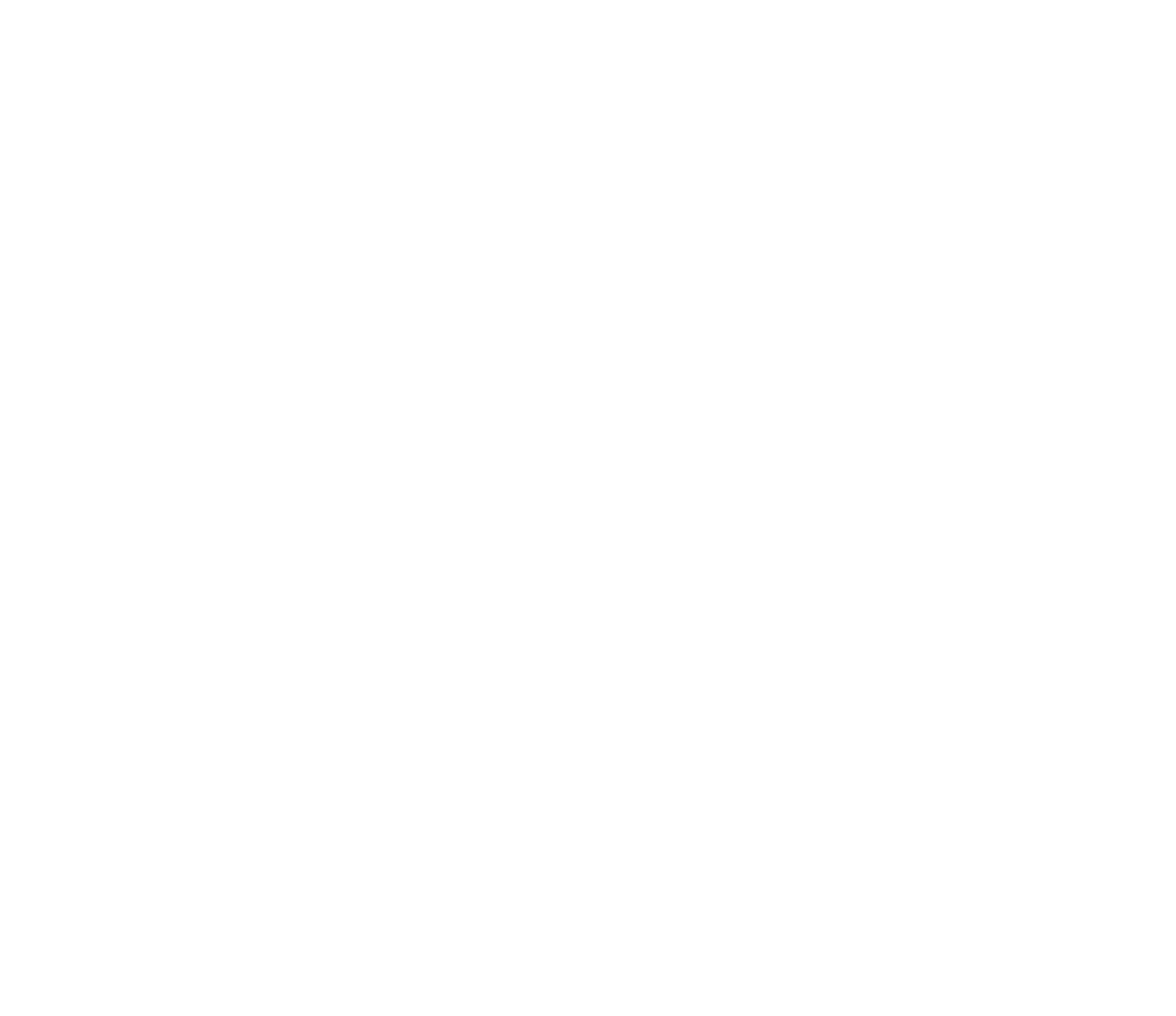 Nuit des Neiges Nuit des Neiges